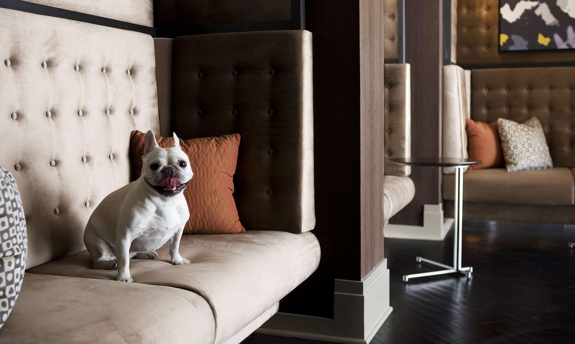 Lobby lounge area with dog on sofa